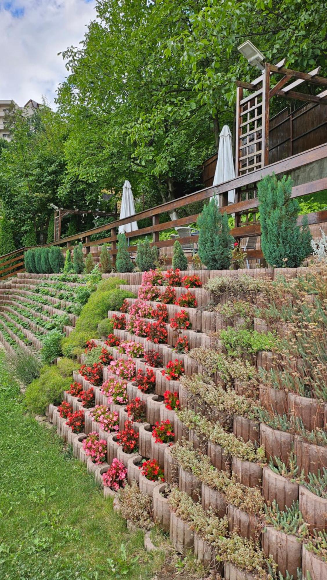 Matei Residence Брашов Екстериор снимка