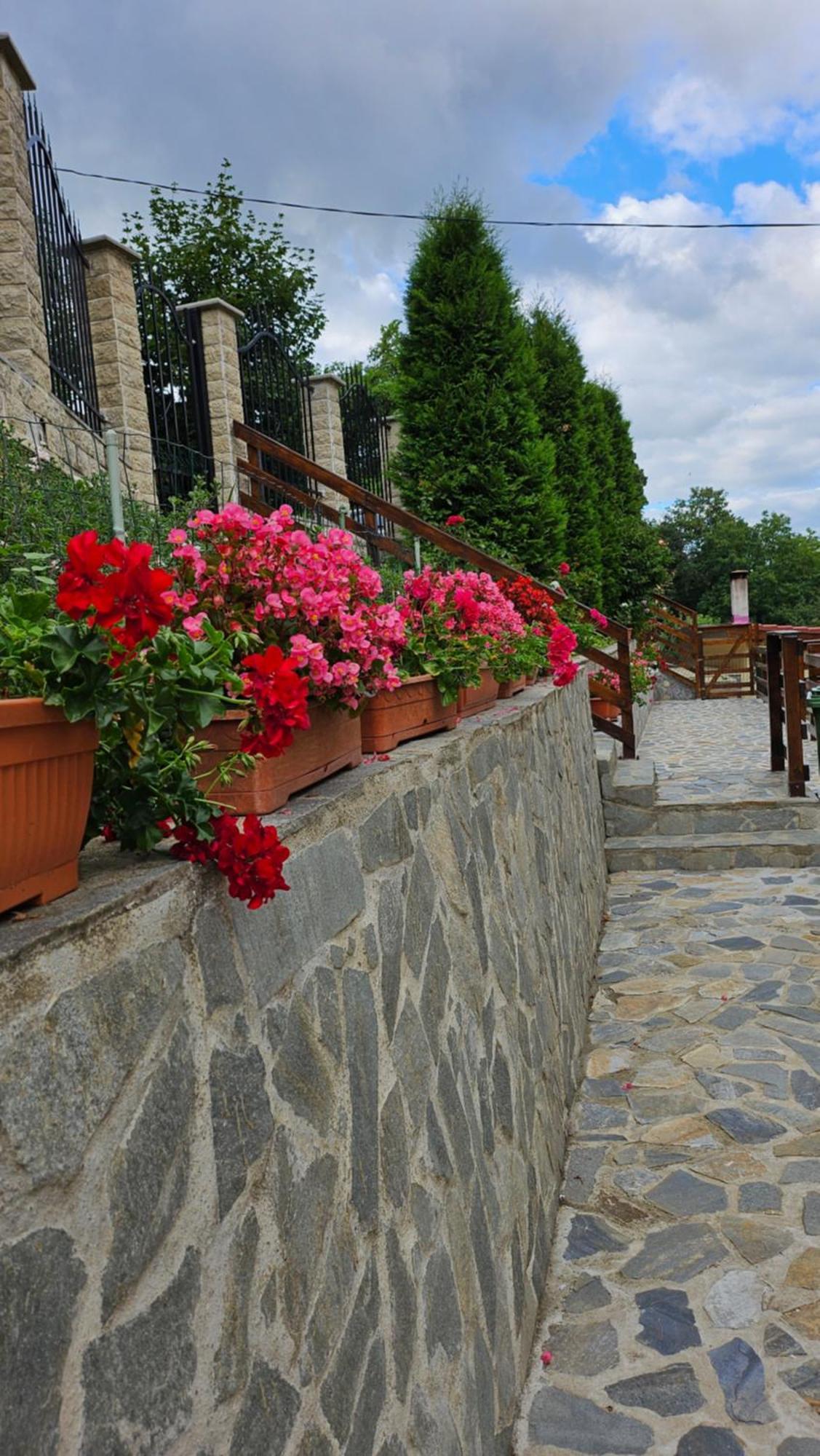 Matei Residence Брашов Екстериор снимка