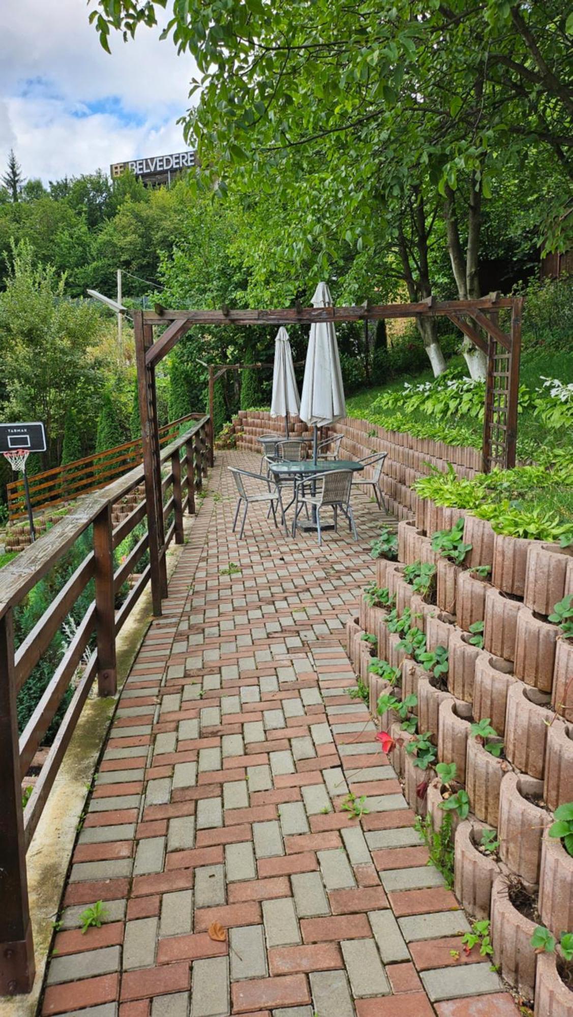 Matei Residence Брашов Екстериор снимка